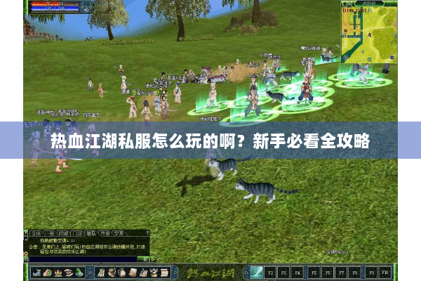 热血江湖私服怎么玩的啊？新手必看全攻略