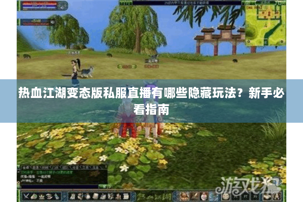 热血江湖变态版私服直播有哪些隐藏玩法？新手必看指南
