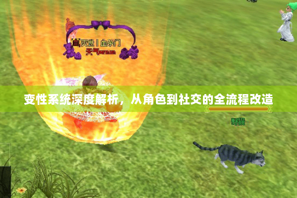 变性系统深度解析，从角色到社交的全流程改造