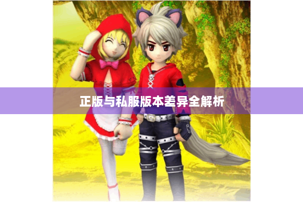 正版与私服版本差异全解析