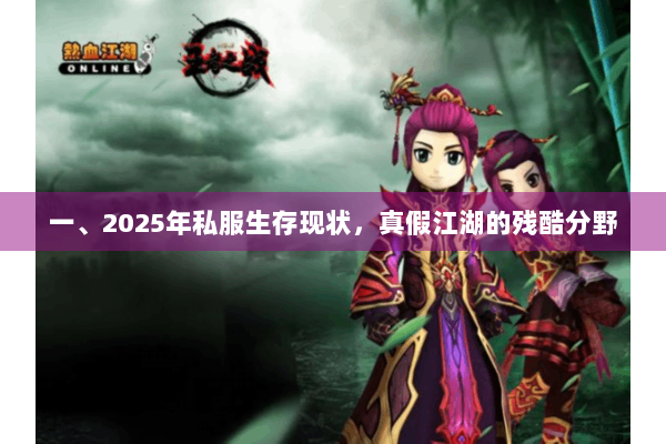 一、2025年私服生存现状，真假江湖的残酷分野