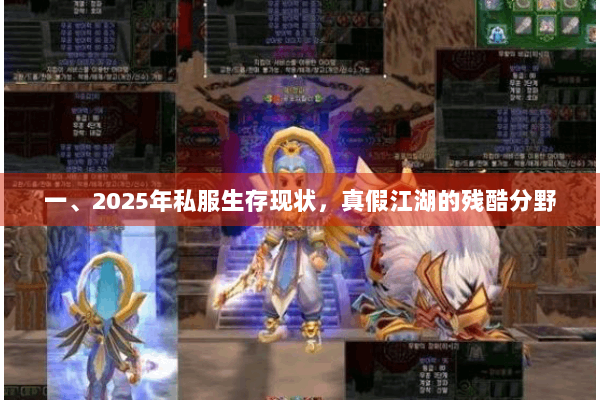 一、2025年私服生存现状，真假江湖的残酷分野