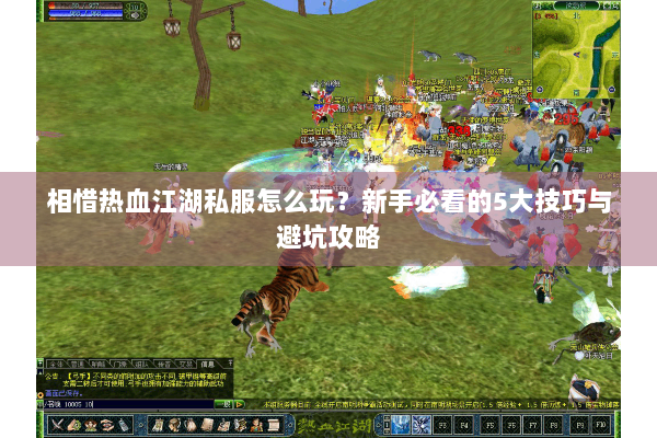 相惜热血江湖私服怎么玩？新手必看的5大技巧与避坑攻略
