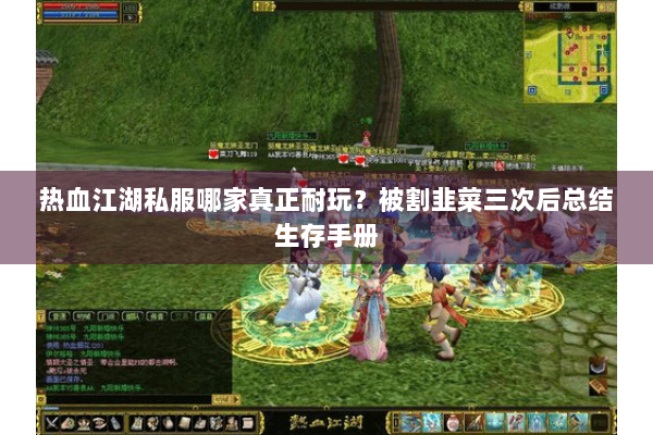 热血江湖私服哪家真正耐玩？被割韭菜三次后总结生存手册