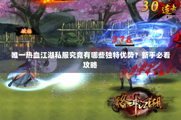 唯一热血江湖私服究竟有哪些独特优势？新手必看攻略