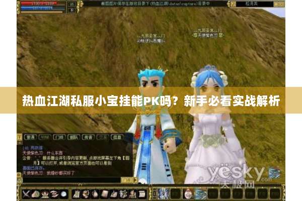 热血江湖私服小宝挂能PK吗?新手必看实战解析 热血江湖私服小宝挂能PK吗?新手必看实战解析