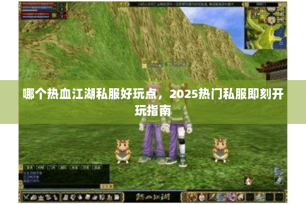 哪个热血江湖私服好玩点，2025热门私服即刻开玩指南