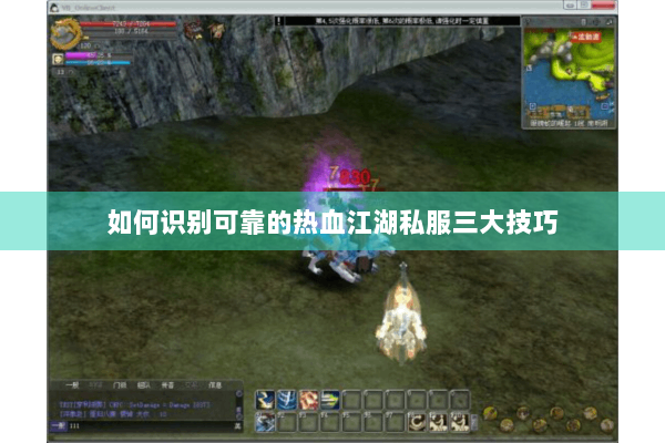 如何识别可靠的热血江湖私服三大技巧
