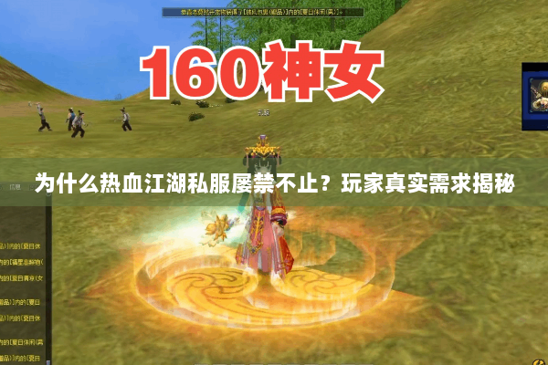 为什么热血江湖私服屡禁不止？玩家真实需求揭秘