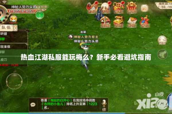 热血江湖私服能玩梅么?新手必看避坑指南 热血江湖私服能玩梅么?新手必看避坑指南