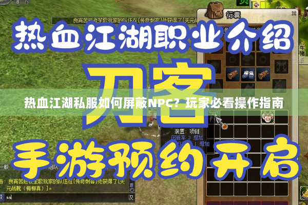 热血江湖私服如何屏蔽NPC？玩家必看操作指南