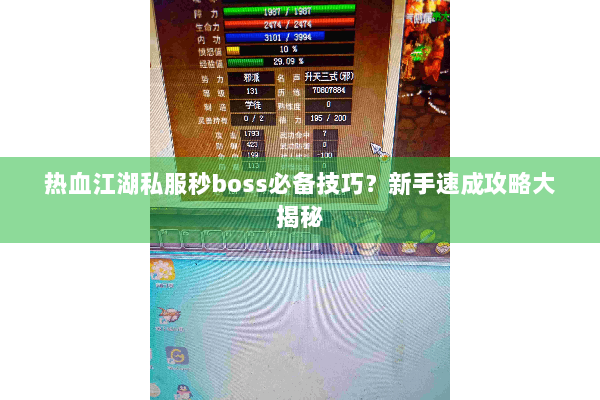 热血江湖私服秒boss必备技巧？新手速成攻略大揭秘