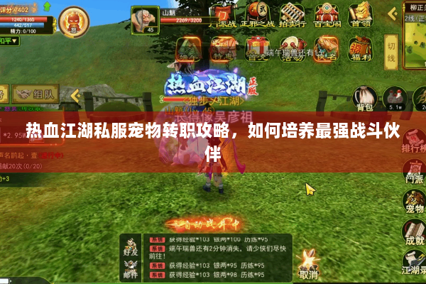 热血江湖私服宠物转职攻略，如何培养最强战斗伙伴