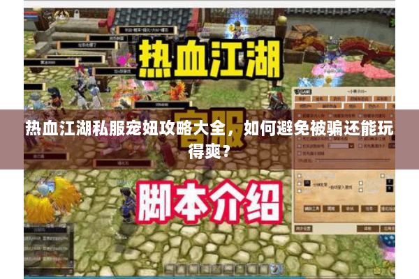 热血江湖私服宠妞攻略大全，如何避免被骗还能玩得爽？
