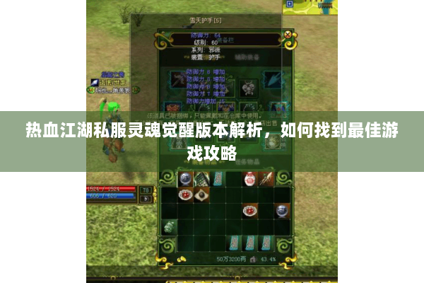 热血江湖私服灵魂觉醒版本解析，如何找到最佳游戏攻略