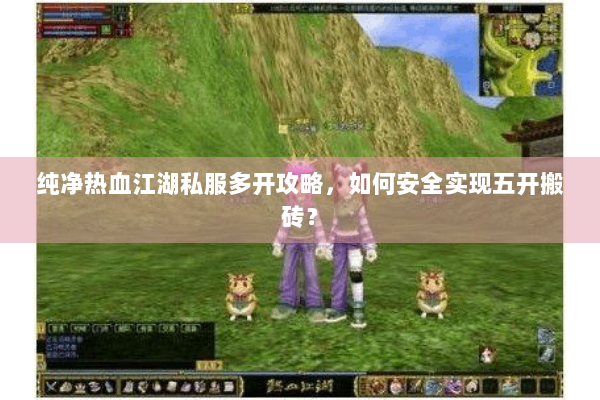 纯净热血江湖私服多开攻略，如何安全实现五开搬砖？