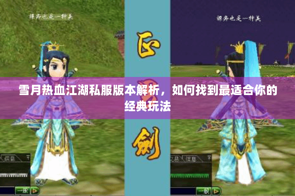 雪月热血江湖私服版本解析，如何找到最适合你的经典玩法