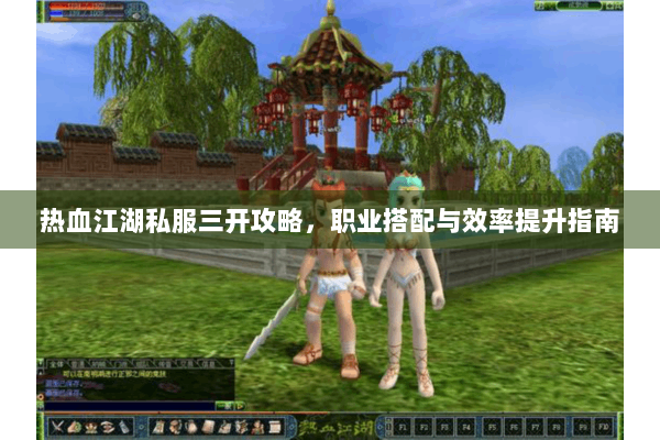 热血江湖私服三开攻略，职业搭配与效率提升指南