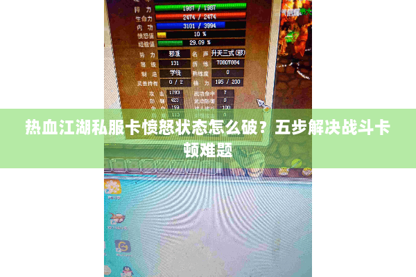 热血江湖私服卡愤怒状态怎么破？五步解决战斗卡顿难题