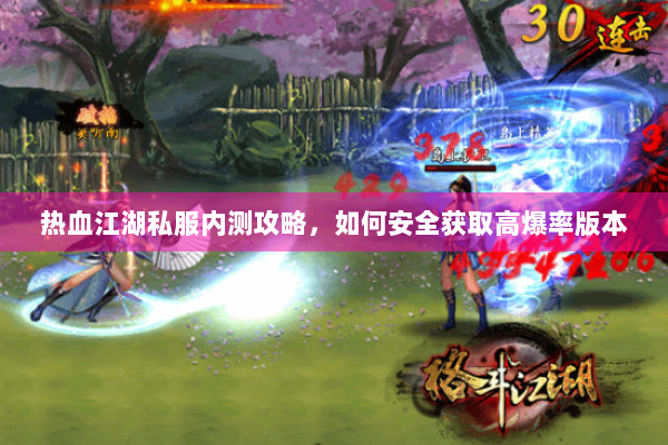 热血江湖私服内测攻略，如何安全获取高爆率版本