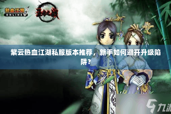 紫云热血江湖私服版本推荐，新手如何避开升级陷阱？
