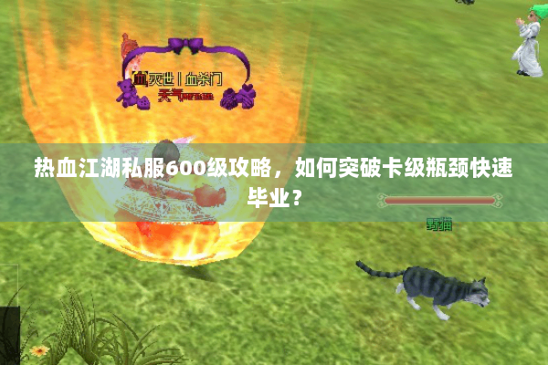 热血江湖私服600级攻略，如何突破卡级瓶颈快速毕业？