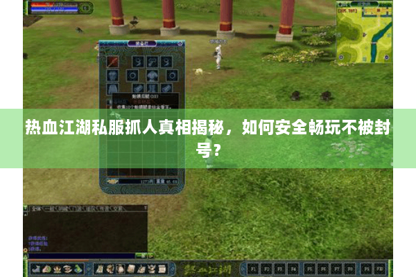 热血江湖私服抓人真相揭秘，如何安全畅玩不被封号？