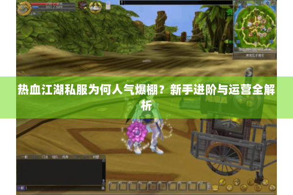 热血江湖私服为何人气爆棚？新手进阶与运营全解析
