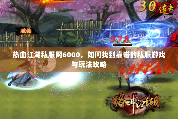 热血江湖私服网6000,如何找到靠谱的私服游戏与玩法攻略 热血江湖私服网6000,如何找到靠谱的私服游戏与玩法攻略
