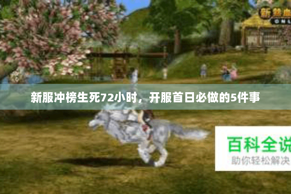 新服冲榜生死72小时,开服首日必做的5件事 新服冲榜生死72小时,开服首日必做的5件事